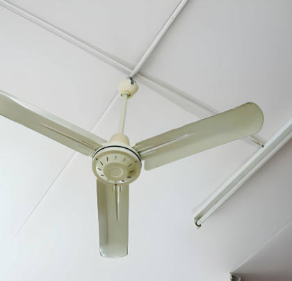 fan 1